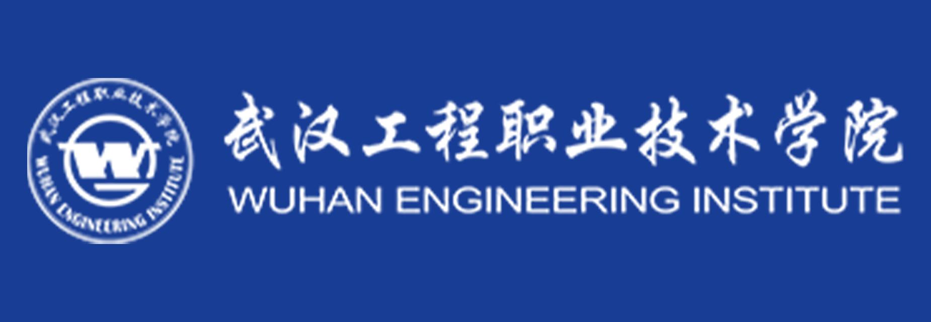 武汉工程职业手艺学院
